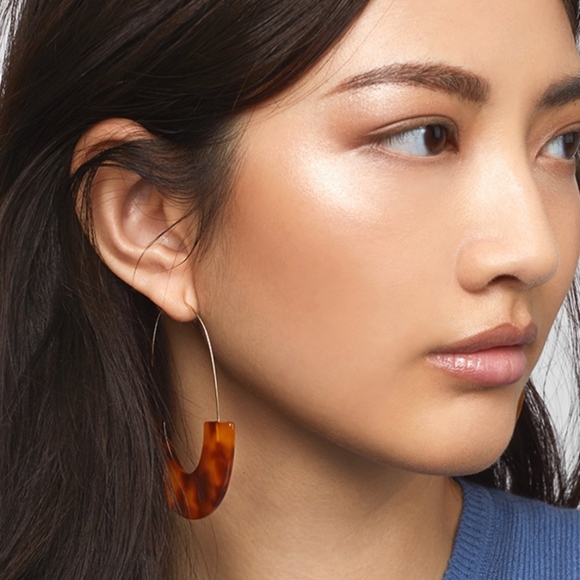 Jewelry - NWT Tiger Leopard Statement Hook Acrylic Earring